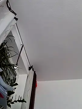 DonKazik online show from 10-01-25, 08:09