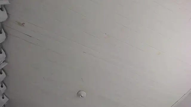 Snapshot of TiffanyWright chatting on 11-29-25, 10:40 TiffanyWright online show from 11-29-25, 10:40