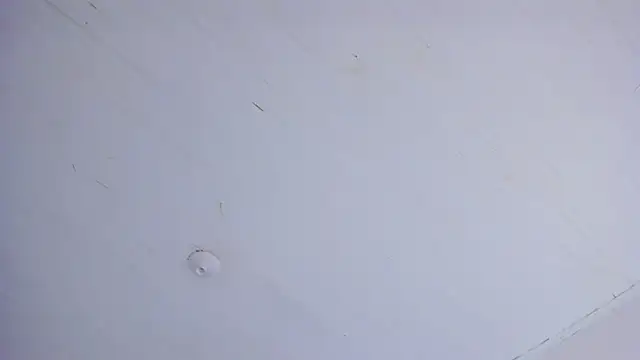 TiffanyWright online show from 04-14-26, 01:17