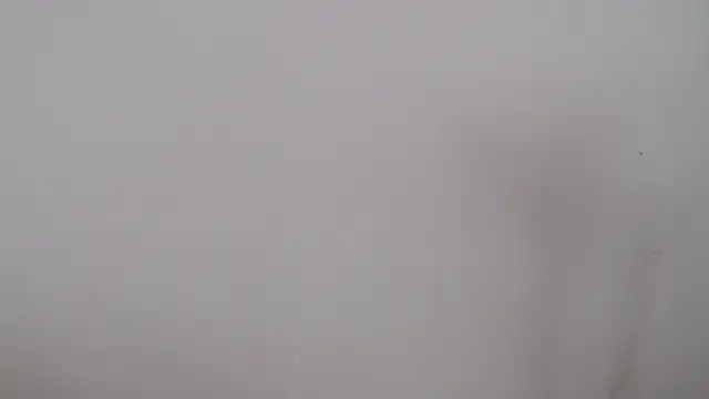 Snapshot of leoytessa_10 chatting on 12-05-24, 09:17 leoytessa 10 online show from 12-05-24, 09:17