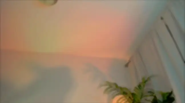  cherry bloss  online show from 03-04-25, 12:29