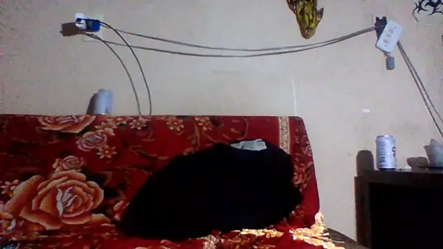 sellvageria online show from 02-26-26, 03:49