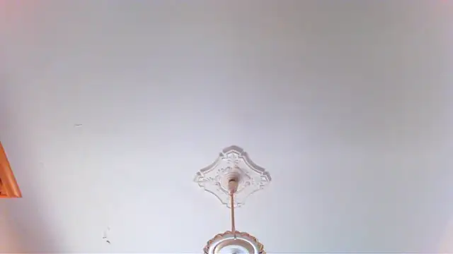 wolfman38 online show from 04-28-26, 08:41