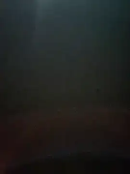 Snapshot of cumshotboy01 chatting on 12-16-24, 03:54 cumshotboy01 online show from 12-16-24, 03:54