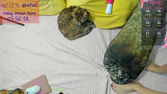 ixsi online show from 10-23-25, 07:40