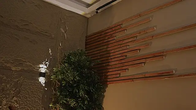 Snapshot of Logan_Varela chatting on 11-01-25, 12:56 Logan Varela online show from 11-01-25, 12:56