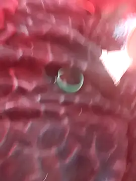 gurlnips online show from 04-28-26, 09:09