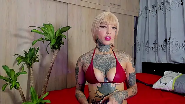 filletatouee online show from 01-06-26, 05:11