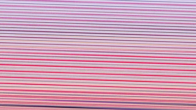 Annieefoxx online show from 11-07-25, 02:50