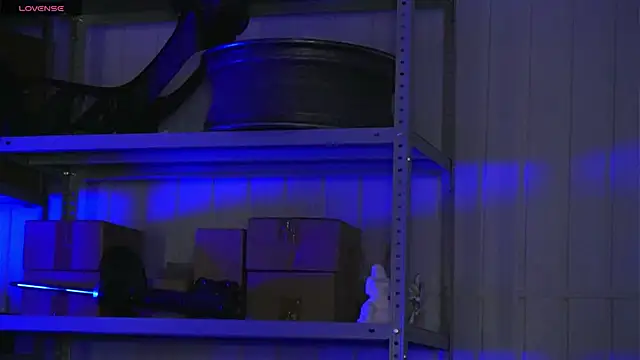 dustyn fox online show from 03-17-26, 03:04