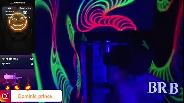 DominicPrince online show from 01-13-26, 04:12