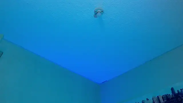 Andy bapho online show from 01-17-25, 05:41