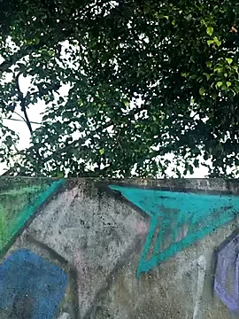 IgoramorimGG online show from 04-04-26, 10:02