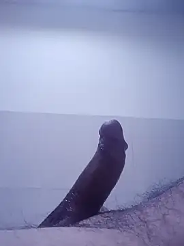 hbo54 online show from 04-29-26, 09:54