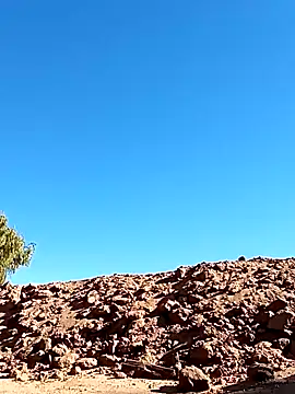 Snapshot of luke_thighwalker2469 chatting on 01-13-25, 08:48 luke thighwalker2469 online show from 01-13-25, 08:48