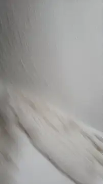 Snapshot of Siriss_boyrag chatting on 11-22-25, 08:52 Siriss boyrag online show from 11-22-25, 08:52