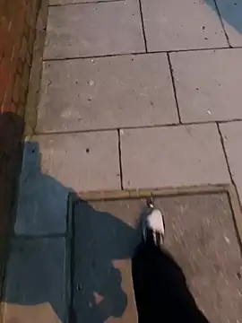 Snapshot of XMenX24 chatting on 03-22-25, 06:36 XMenX24 online show from 03-22-25, 06:36