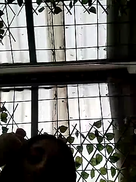 Snapshot of ailyn_miranda chatting on 03-15-25, 06:21 ailyn miranda online show from 03-15-25, 06:21