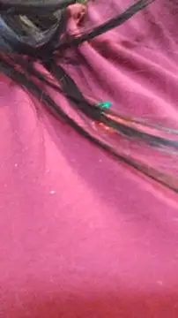 Snapshot of ailyn_miranda chatting on 11-29-25, 07:50 ailyn miranda online show from 11-29-25, 07:50