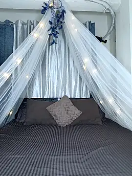 Bold-Cat online show from 02-18-26, 05:53