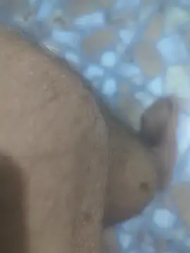 Sunnyboy7897 online show from 03-09-26, 10:47