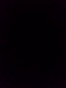 WrongedParvo online show from 10-19-25, 11:49