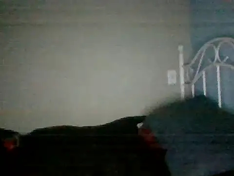 Snapshot of SmokingSloth chatting on 03-16-25, 08:21 SmokingSloth online show from 03-16-25, 08:21