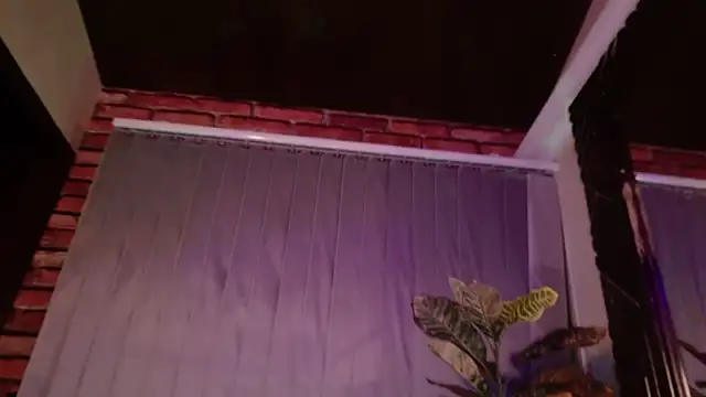 SeleneeEvanss online show from 10-31-25, 11:28