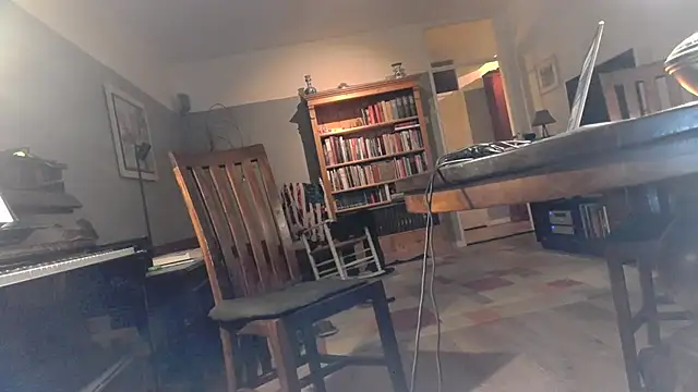 RolfS online show from 04-26-26, 01:58