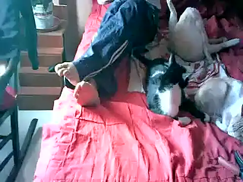 2mgars online show from 09-22-25, 08:44