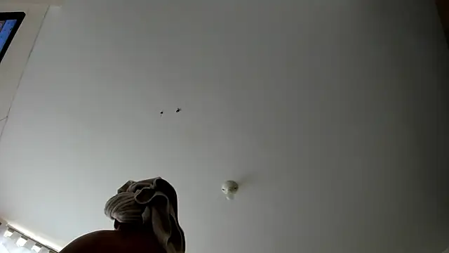 evely coelloo online show from 09-09-25, 09:14