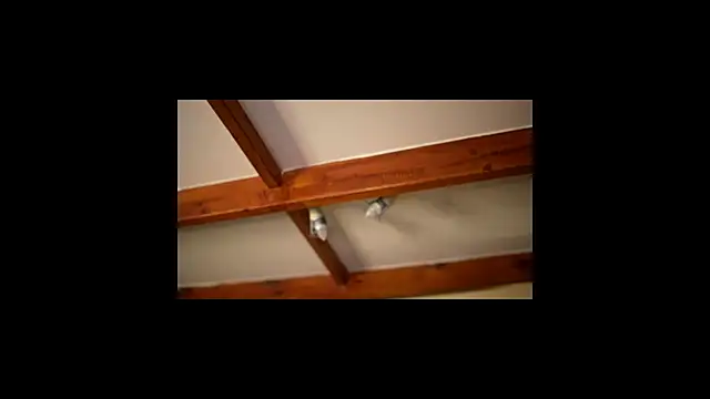 Bellis Perenis online show from 02-26-26, 09:30