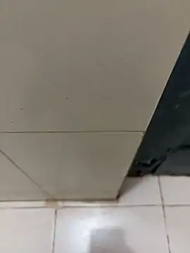 nangakings online show from 12-17-25, 03:18