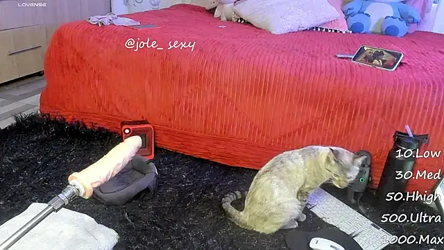 jolee   online show from 01-10-25, 06:31