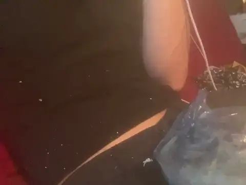 Snapshot of skatebored chatting on 01-26-25, 04:51 skatebored online show from 01-26-25, 04:51