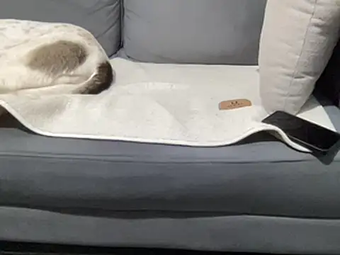 4small4inchlol online show from 03-15-25, 11:19