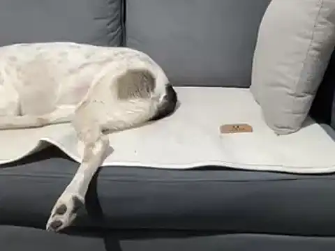 4small4inchlol online show from 03-20-25, 07:35