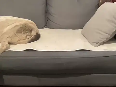 4small4inchlol online show from 09-17-25, 09:00