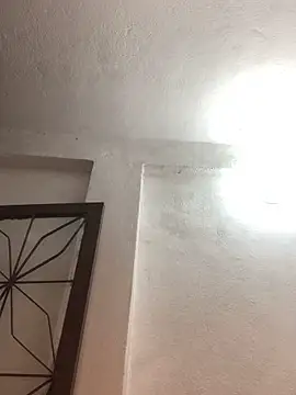 Snapshot of morenonicexxx chatting on 03-19-25, 12:59 morenonicexxx online show from 03-19-25, 12:59