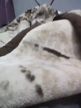 Snapshot of iaparna chatting on 12-16-25, 04:23 iaparna online show from 12-16-25, 04:23