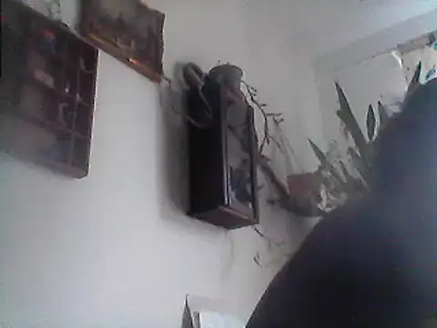 Bigpenis6y online show from 12-29-24, 01:17