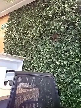   JaviJavi online show from 03-15-26, 11:11