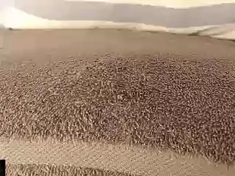 Snapshot of mikellwilliams10 chatting on 03-11-25, 08:53 mikellwilliams10 online show from 03-11-25, 08:53