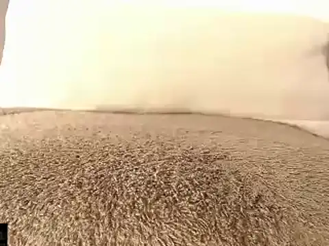 Snapshot of mikellwilliams10 chatting on 03-15-25, 01:29 mikellwilliams10 online show from 03-15-25, 01:29