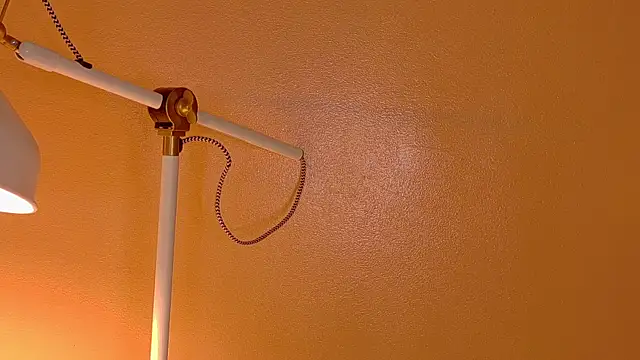 ParisFox  online show from 12-20-25, 01:12