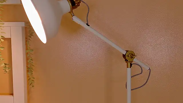 ParisFox  online show from 03-08-26, 02:04