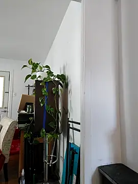 QcMisterv13 online show from 09-30-25, 02:22