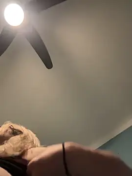 Annelibre online show from 11-14-25, 10:07