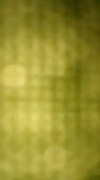 Sexybeer2005 online show from 12-07-24, 10:06