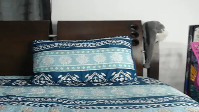 Tobicutee online show from 02-05-26, 04:17